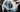 Spotted // Music Video: Don Strapzy (SE DONS)